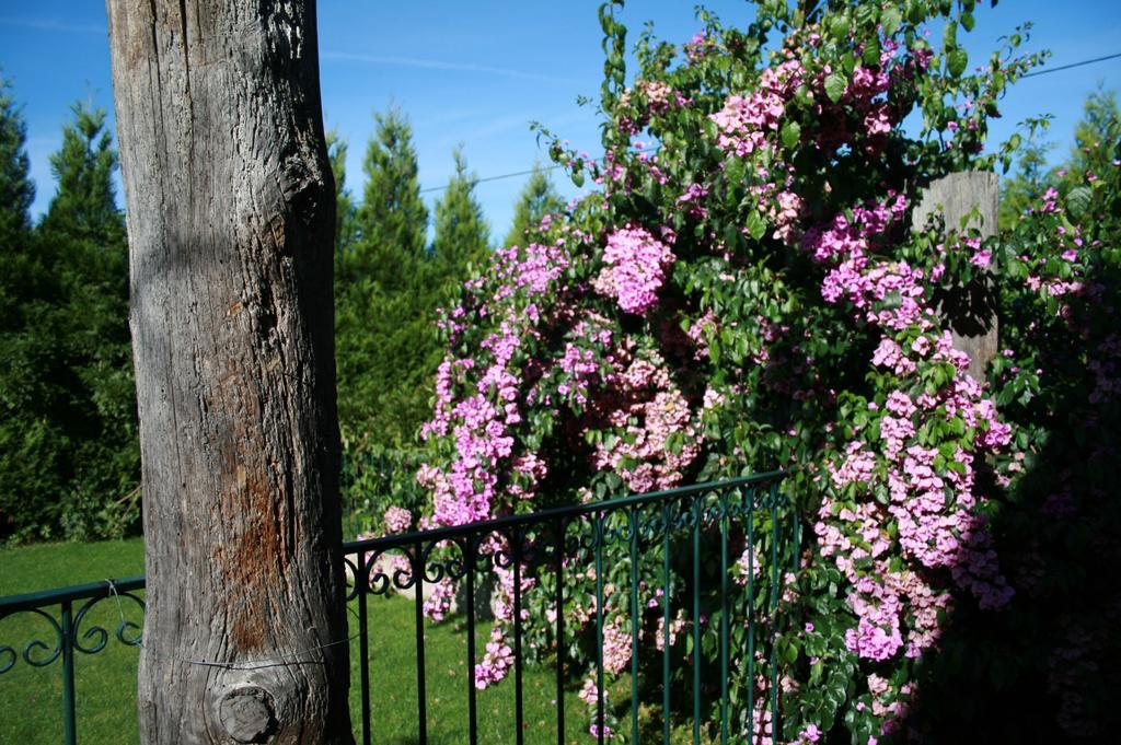 Отель Quinta D'Arroteia Визеу Экстерьер фото